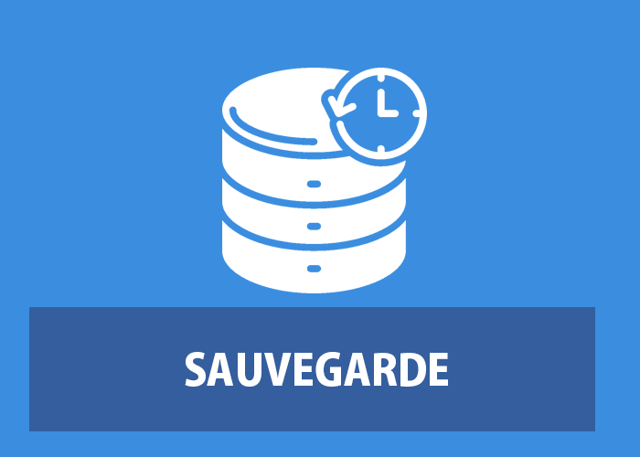 Sauvegarde